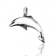 Srebrny wisiorek 925 - lśniący delfin z patyną