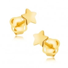 Kolczyki z żółtego złota 9K - lśniąca lustrzana pięcioramienna gwiazdka
