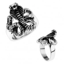 Masywny stalowy pierścionek, lśniące ramiona, patynowany wąż - kobra