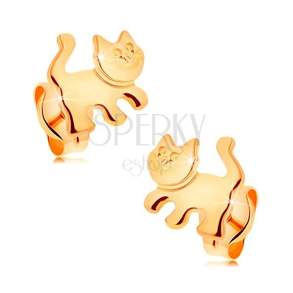 Kolczyki z żółtego 14K złota - lśniący kotek, wkręty