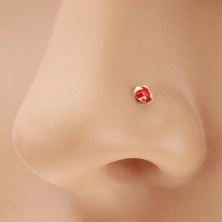 Piercing do nosa w żółtym 14K złocie, prosty - okrągła lśniąca cyrkonia czerwonego koloru, 1,5 mm